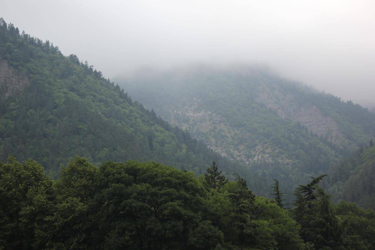 Firuza Hostel Borjomi Eksteriør bilde